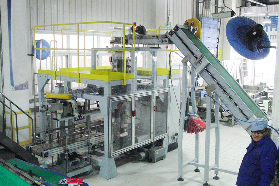 Unilever (Single Warehouse of Secondary Packaging Line) Site